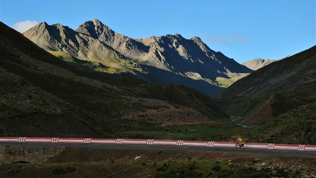 拼多多补单软件