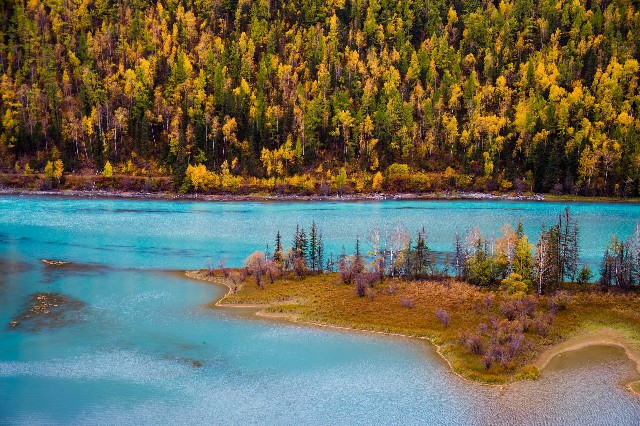 拼多多补单软件