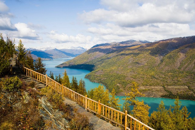 拼多多补单软件