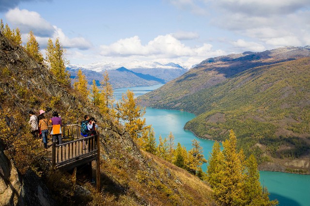 拼多多补单软件