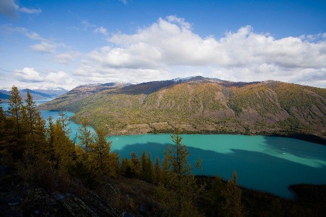 拼多多补单软件