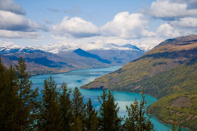 拼多多补单软件