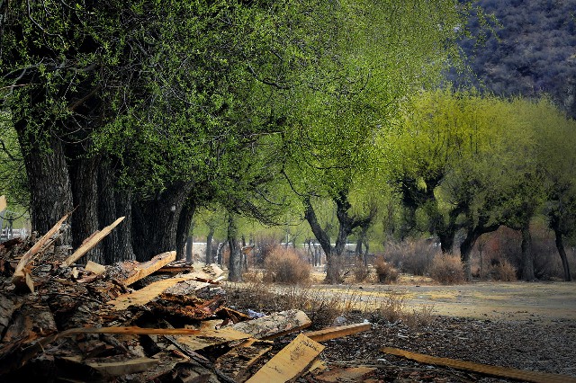 拼多多补单软件