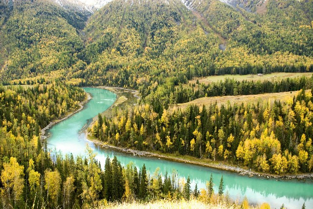 拼多多补单软件