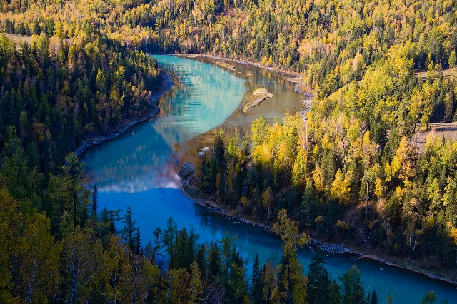 拼多多补单软件