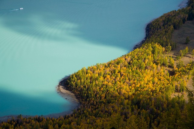 拼多多补单软件