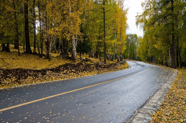 拼多多补单软件