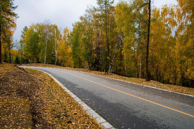 拼多多补单软件