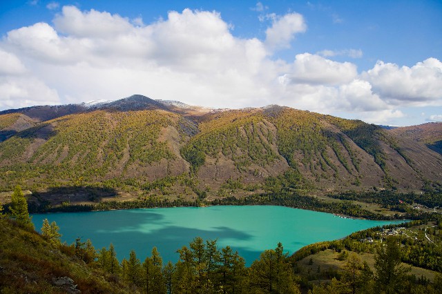 拼多多补单软件