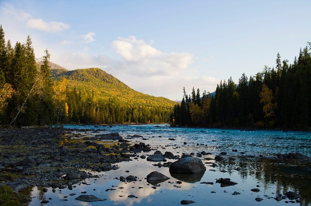 拼多多补单软件