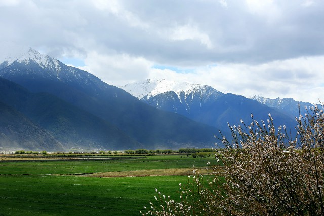 拼多多补单软件