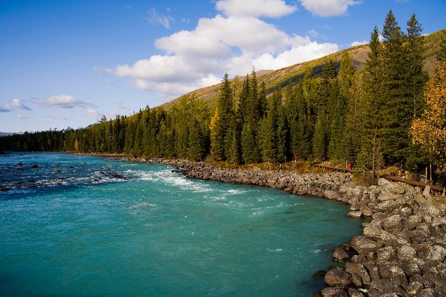 拼多多补单软件