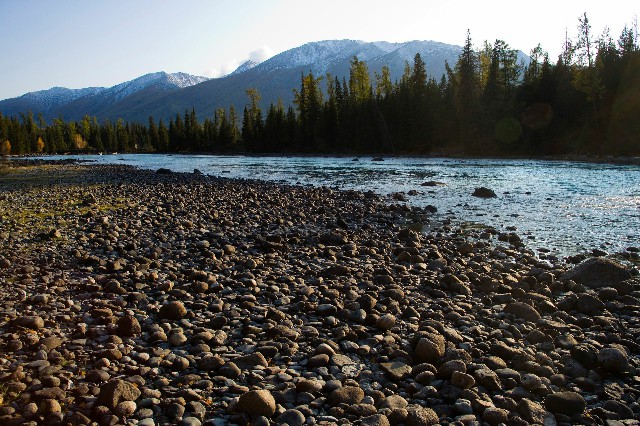 拼多多补单软件