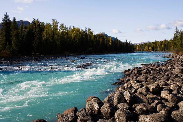 拼多多补单软件