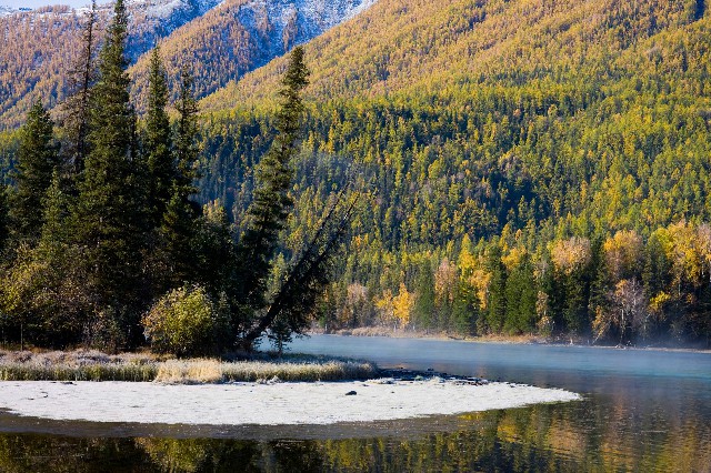 拼多多补单软件
