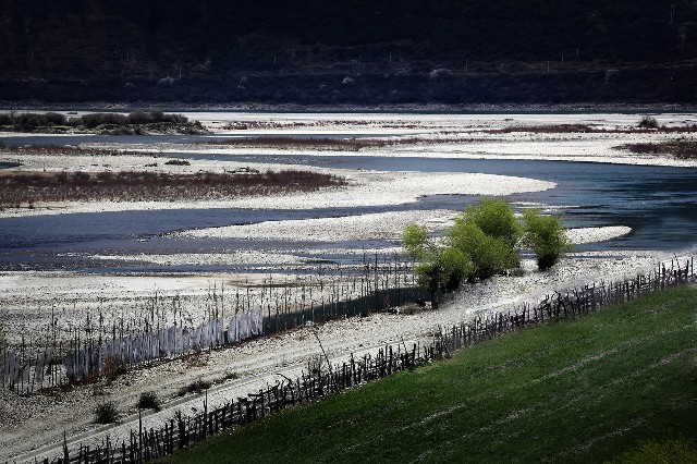 拼多多补单软件