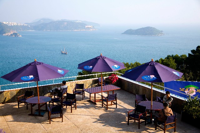 拼多多补单软件