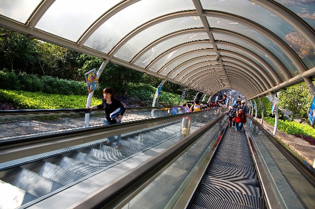 拼多多补单软件