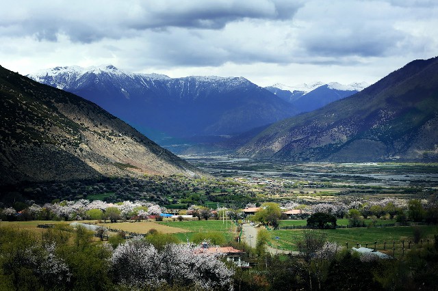 拼多多补单软件