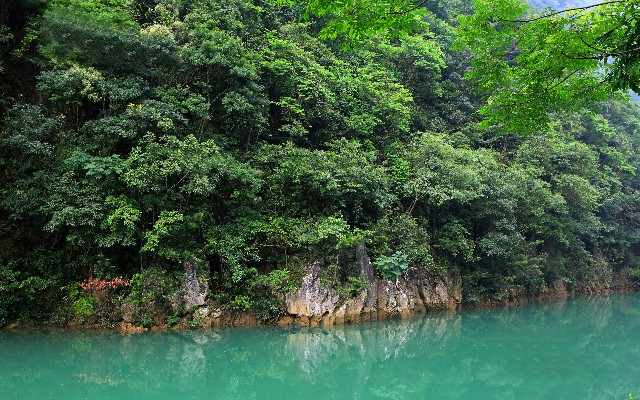 拼多多补单软件