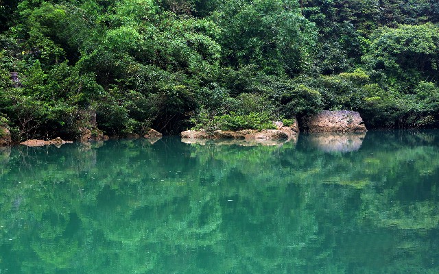 拼多多补单软件