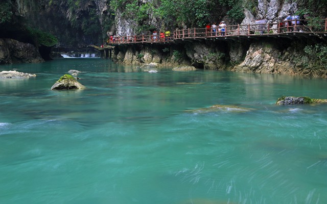 拼多多补单软件