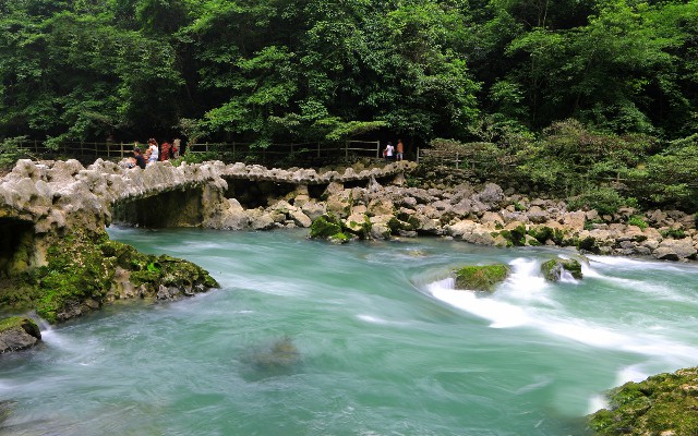 拼多多补单软件