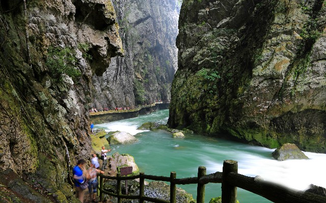 拼多多补单软件