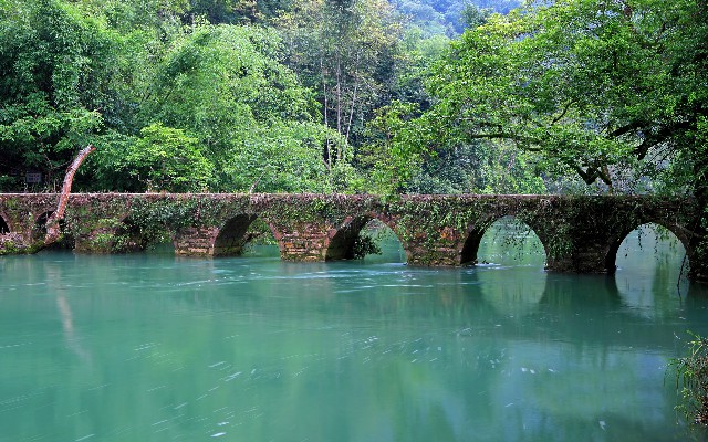 拼多多补单软件