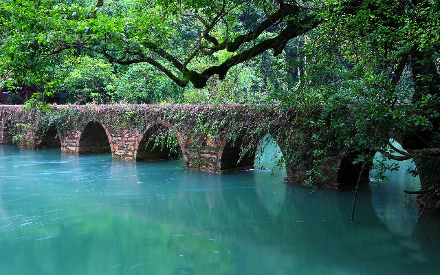 拼多多补单软件