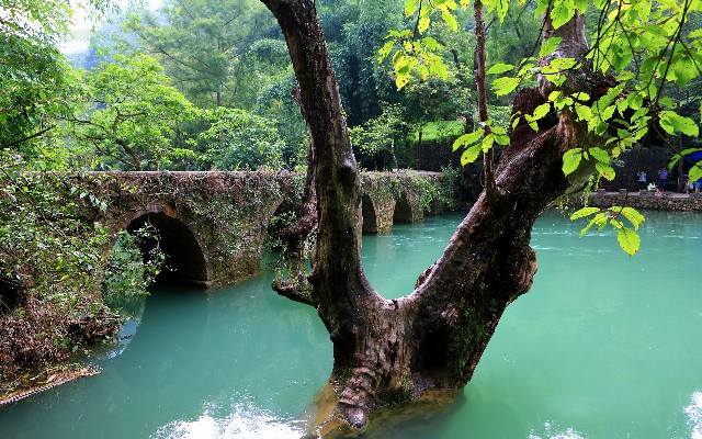 拼多多补单软件