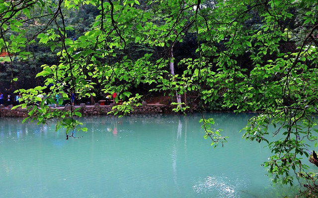 拼多多补单软件