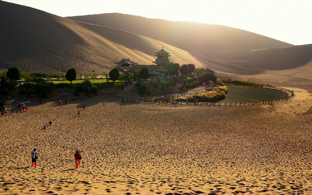 拼多多补单软件