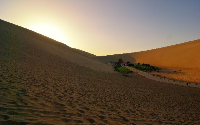 拼多多补单软件