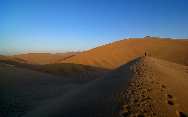 拼多多补单软件