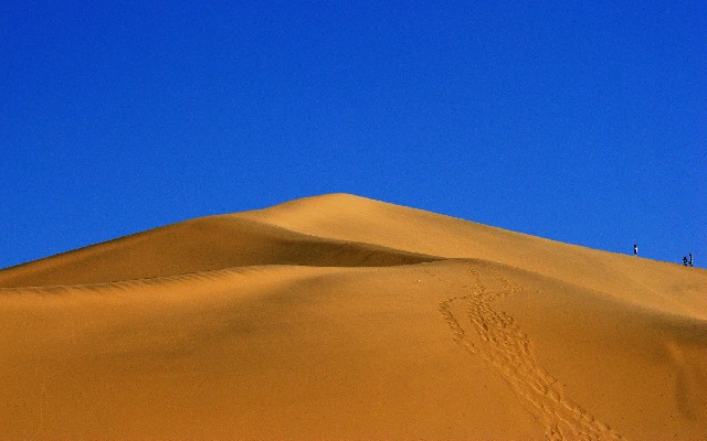 拼多多补单软件