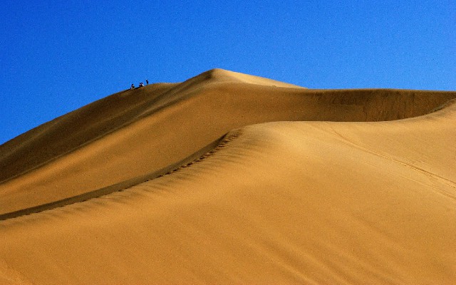 拼多多补单软件