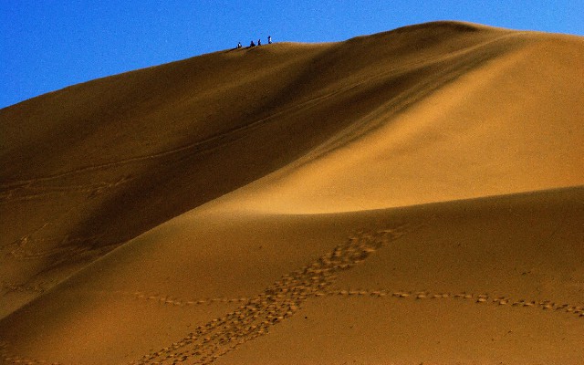 拼多多补单软件