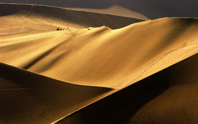 拼多多补单软件