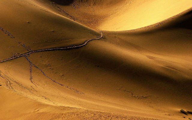 拼多多补单软件