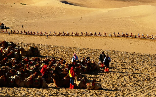 拼多多补单软件