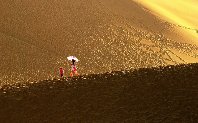 拼多多补单软件