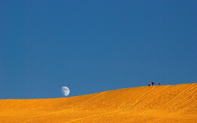 拼多多补单软件