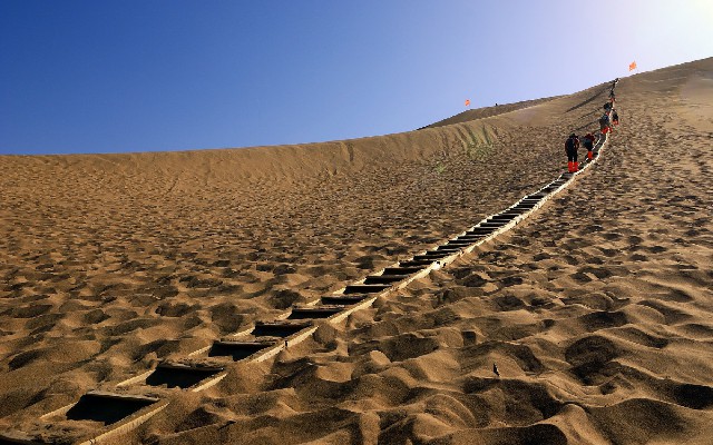 拼多多补单软件