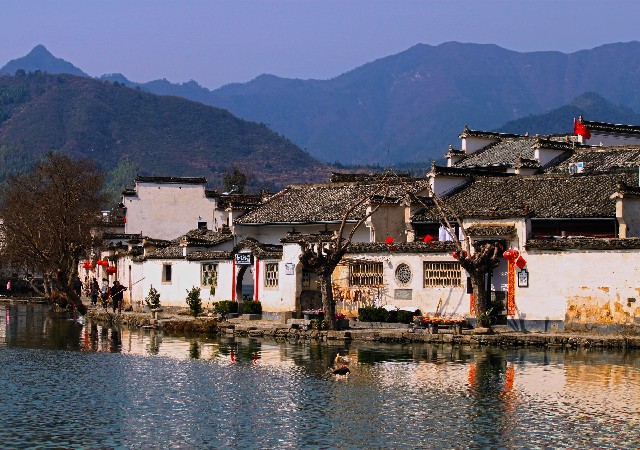 拼多多补单软件