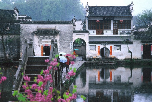 拼多多补单软件