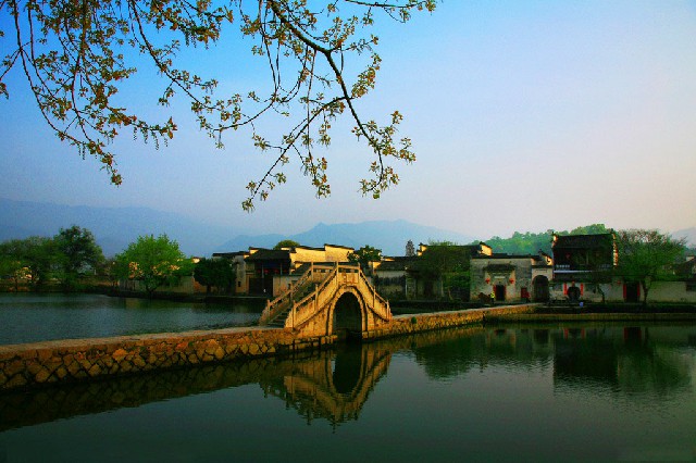 拼多多补单软件