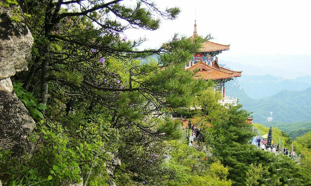 拼多多补单软件