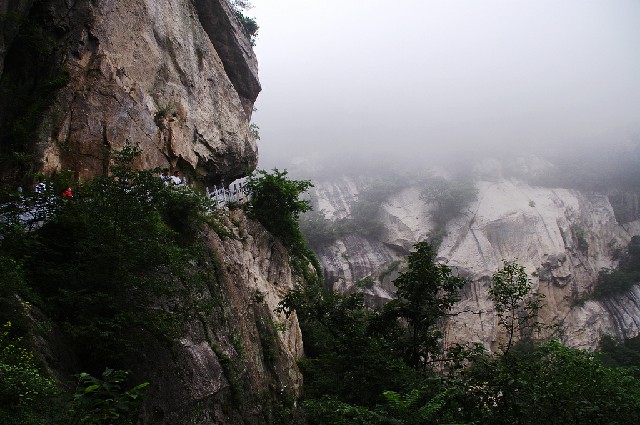 拼多多补单软件