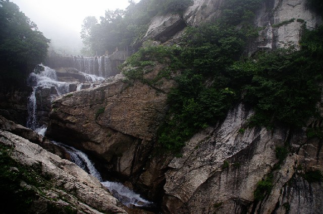 拼多多补单软件